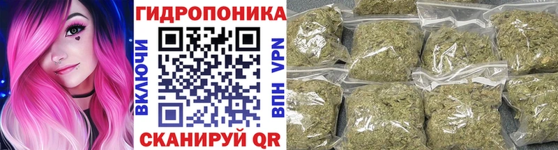 Марихуана семена  Светогорск 